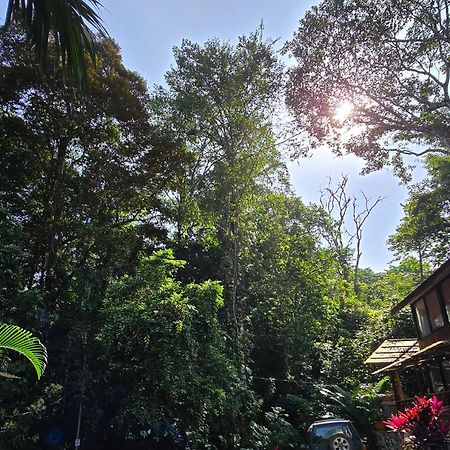 Cool Waters Jungle Villas Увита Экстерьер фото