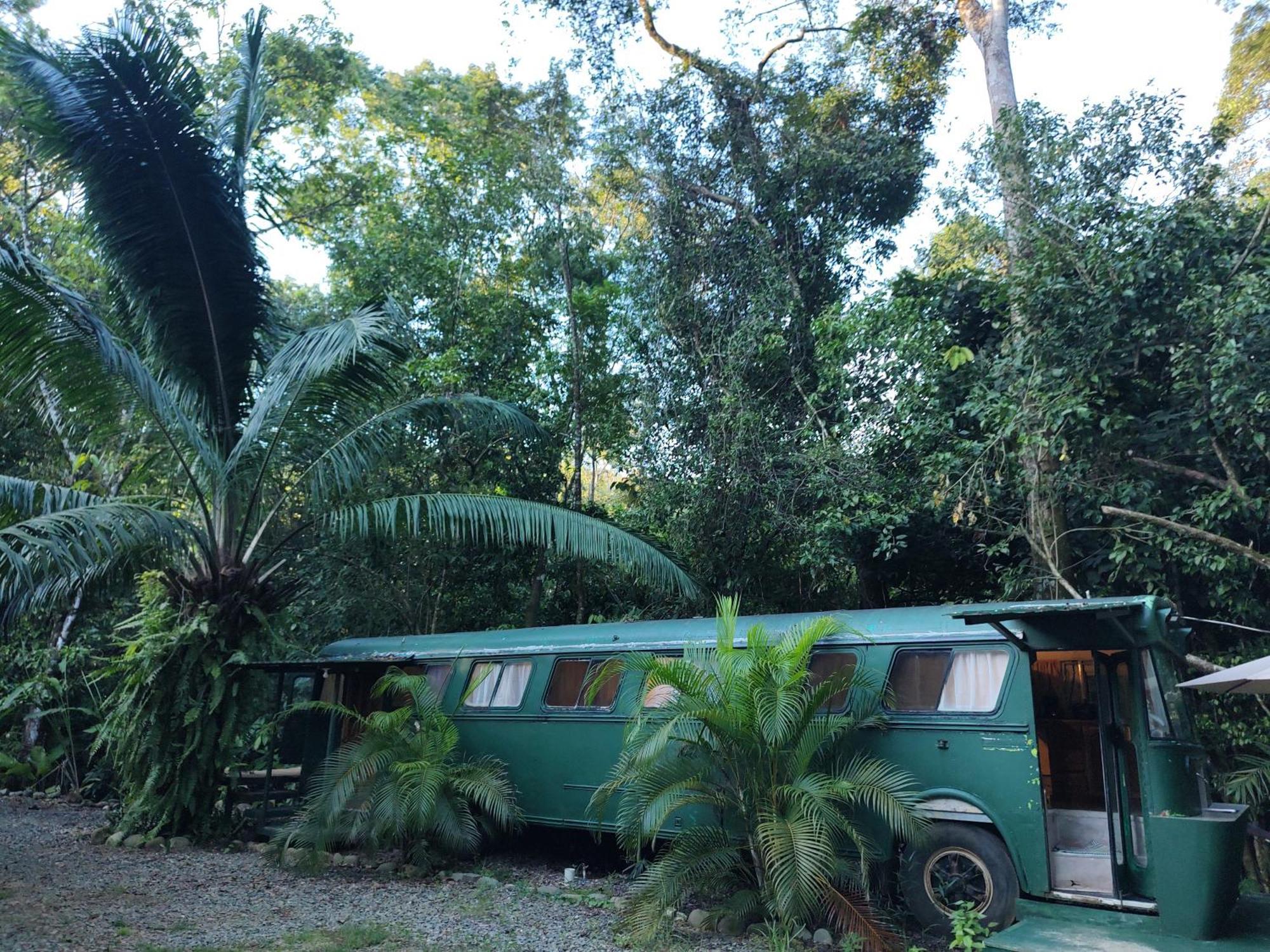 Cool Waters Jungle Villas Увита Экстерьер фото