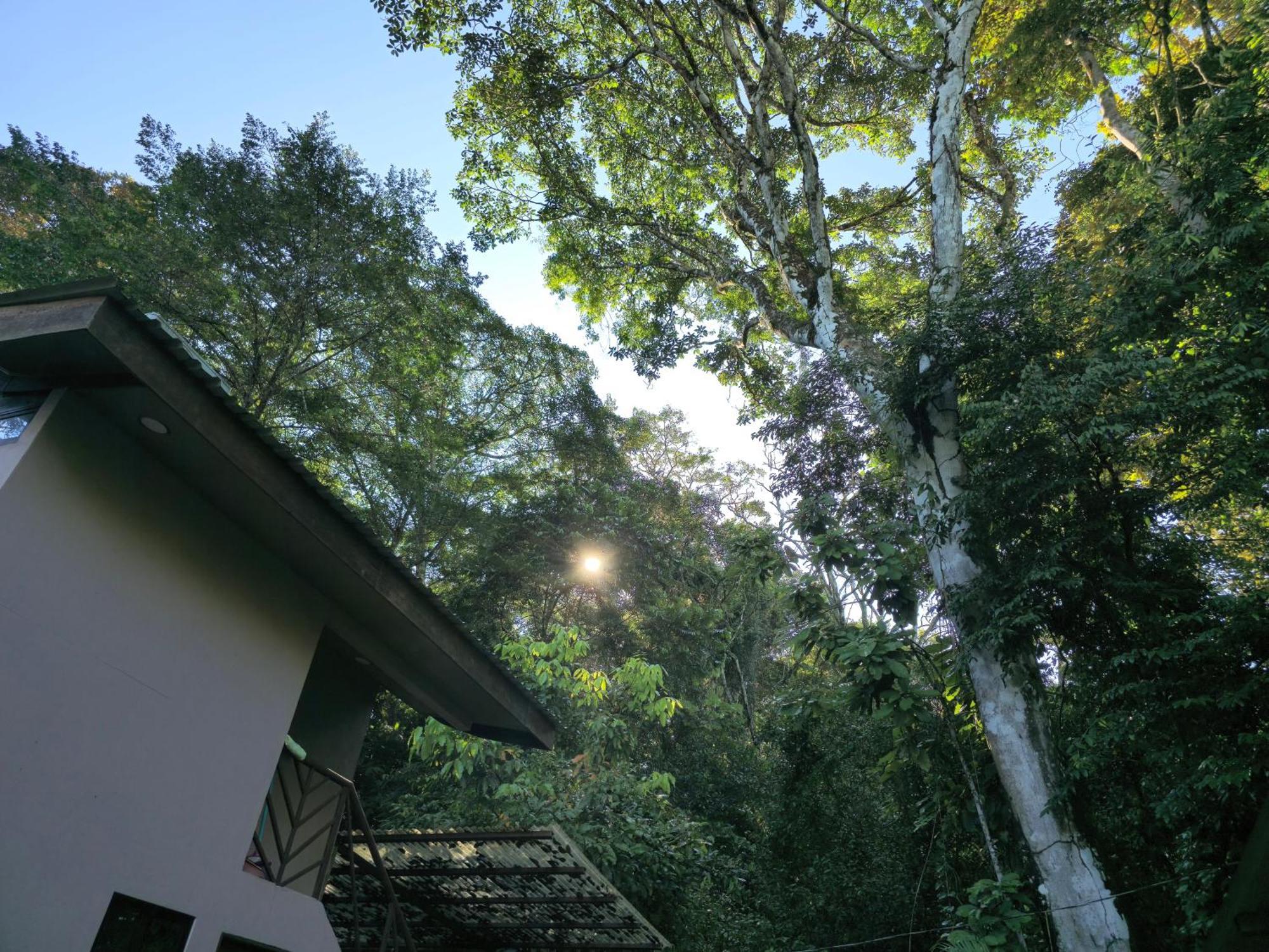 Cool Waters Jungle Villas Увита Экстерьер фото