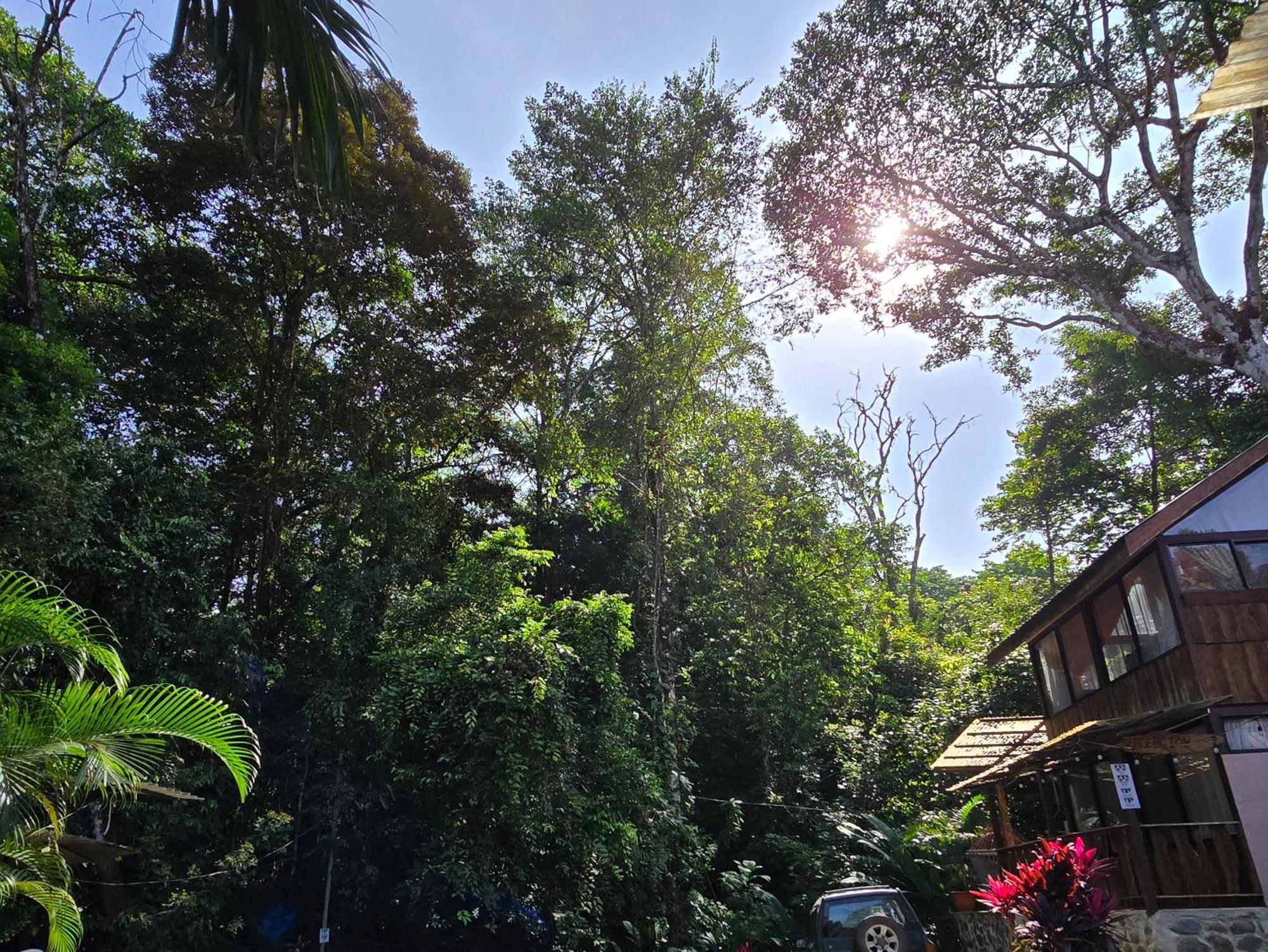 Cool Waters Jungle Villas Увита Экстерьер фото