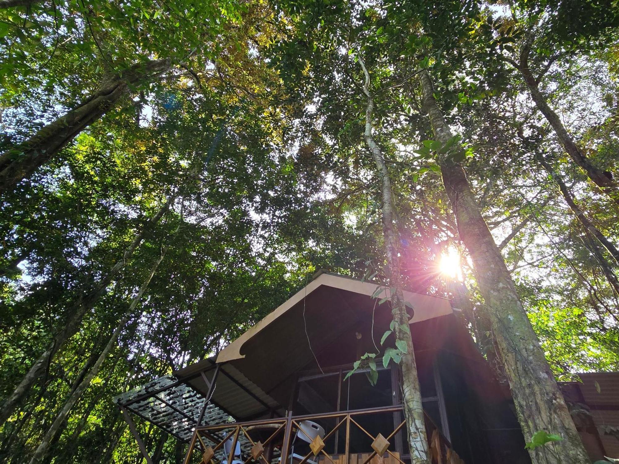 Cool Waters Jungle Villas Увита Экстерьер фото